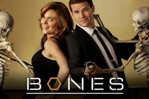 Bones