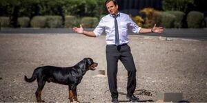 Stasera in tv, oggi 6 gennaio 2021: Fratelli Caputo e Show Dogs