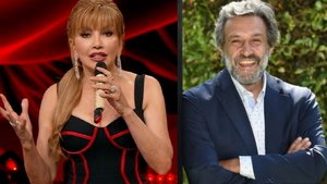 Ascolti TV 26 novembre 2022: assente L'Eredità, record per Milly Carlucci