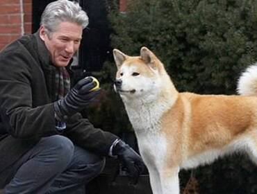 Hachiko - il tuo migliore amico: trama e curiosità sul film in onda domenica 23 maggio