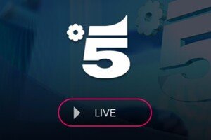 Canale 5, streaming: dove vedere la diretta e le repliche gratis online dei programmi Mediaset