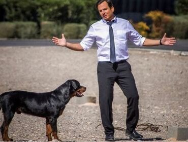 Stasera in tv, oggi 6 gennaio 2021: Fratelli Caputo e Show Dogs